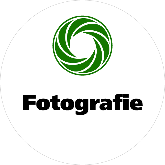 Foto Walter Logo